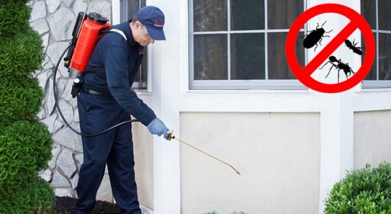 Erdemli Dezenfeksiyon böcek ilaçlama ve haşere kontrolü — ilaclama-tr.com
